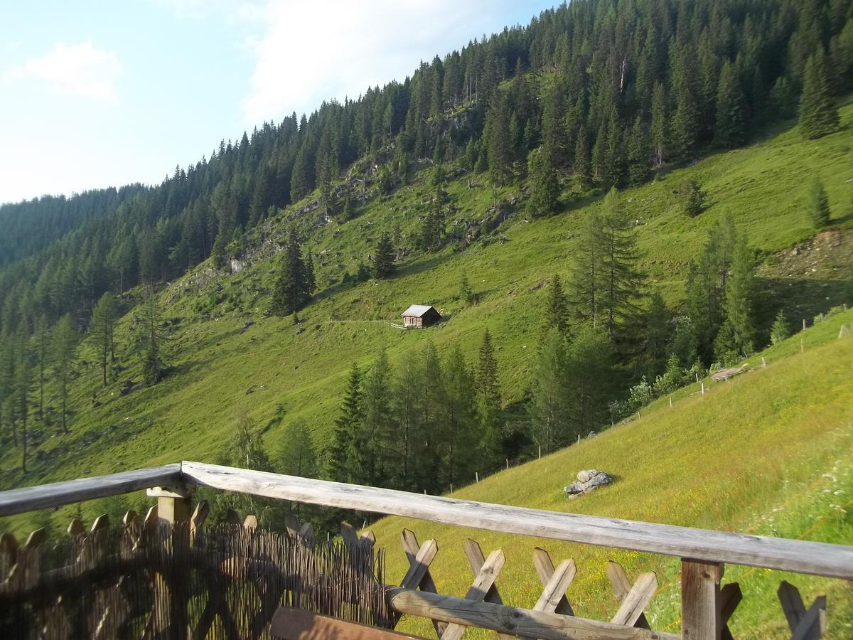 Appartement Almzeit Mit Infrarotkabine Grosssolk Dış mekan fotoğraf
