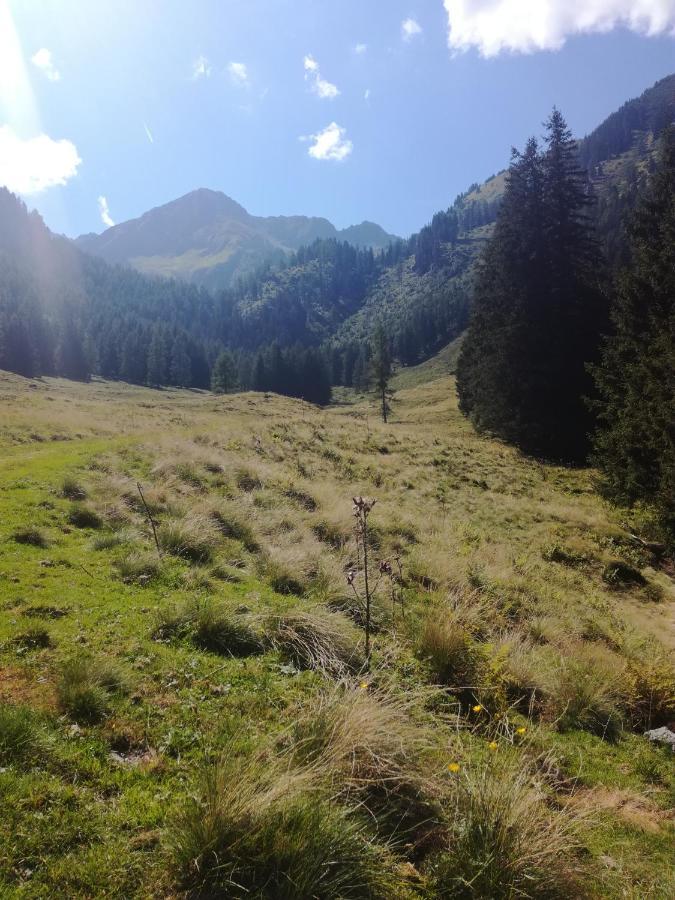 Appartement Almzeit Mit Infrarotkabine Grosssolk Dış mekan fotoğraf